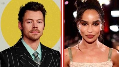 harry styles zoe kravitz